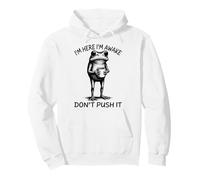 Sono Qui Sono Sveglio Don't Push It Funny Frog Meme retrò Felpa con Cappuccio