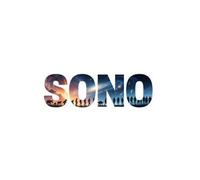 "SONO" (SOY): EL FINAL DEL BUSCADOR