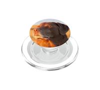 Sono un cane cucinato, meme divertente, Labrador Retriever PopSockets PopGrip per MagSafe