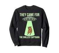 Sono venuti per i più Freddi Dischi Volanti Alieni Capybara Felpa