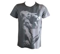 Sons Of Heroes MERCE DANNEGGIATA T-Shirt Grigia (SHDGTS002)