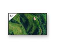Sony FW-43BZ35P Display professionale da 43 pollici con standard Deep Black antiriflesso e protezione dalla polvere IP5X