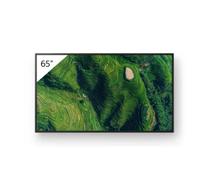 Sony 65 PRO BRAVIA 500NIT DBNG 24/7 4548736172920