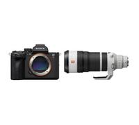 Sony Alpha 7R VI (ILCE-7RM6) + SEL 100-400 mm f/4,5 GM OSS