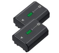 Sony Batteria NP-FZ 100 confezione da 2