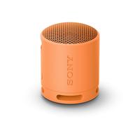 CASSA BLUETOOTH SONY SRSXB100D