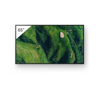 Sony FW-65BZ35P Display professionale da 65 pollici con standard Deep Black Non-Glare e protezione dalla polvere IP5X