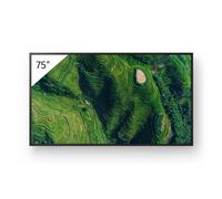 Sony FW-75BZ35P Display professionale da 75 pollici con standard Deep Black antiriflesso e protezione dalla polvere IP5X