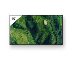 Sony FW-75BZ35P Display professionale da 75 pollici con standard Deep Black antiriflesso e protezione dalla polvere IP5X