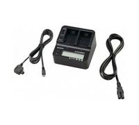 Sony Netto / Caricabatterie AC-VQV 10