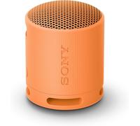 CASSA BLUETOOTH SONY SRSXB100D