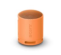 CASSA BLUETOOTH SONY SRSXB100D