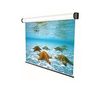 Sopar Electric Professional 3D schermo per proiettore 2,49 m (98") 4:3 - Tipologia display: Motorizzato, 2,49 m (98"), 2 m, 150 cm, 4:3, Bianco