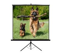 Sopar 1180 Schermo A Cavalletto Realizzato In Tela Bianca Lenticolare 180x180 Cm