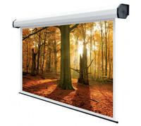 SOPAR5502 500×282 16:9 SCHERMO PROIEZIONE ELECTRIC RUBIN