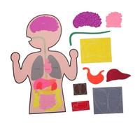 SOPOTUTU 3sets Giocattolo Di Organi Umani Non Di Organi Cognitivi Per Ragazzo Ragazza Sussidio Didattico Creativo Per Apprendimento Della Cognizione Degli