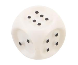 SOPOTUTU Dadi Tattili in Braille Leggeri Plastica per Giochi da Tavolo Accessibili Non Vedenti e Ipovedenti con Punti in Rilievo per Istruzione e Inclusione