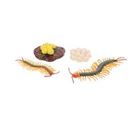 SOPOTUTU Educativo Ciclo dello Scutigero Modelli Realistici Animali con Dettagli Anatomici Prop Didattico per Appassionati e Biologia