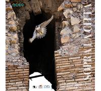 Sopra la città. I falchi pellegrini a Roma-The peregrine falcons