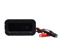 Sorandy Adatto per la modalità di Riparazione Automatica Intelligente della Batteria per Auto per 12V 24V Automobilistico Camion Moto Barca, compatibilità Universale, Visualizzazione Ergonomica per