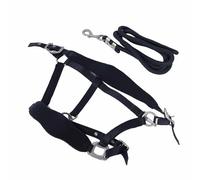 Sorandy Cavezza per Cavallo, Cavezza da Addestramento Regolabile, al Guinzaglio da 2 M con Imbottitura Imbottita, Ideale per Passeggiate Quotidiane, Jogging e Addestramento del Cavallo (L)