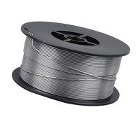 Sorandy Comodo Filo Animato Efficiente Versatile Anima per Saldatura MIG da 1,0 Mm in Acciaio Al Carbonio per Saldatura Senza Gas, 1 Rotolo per Progetti Domestici