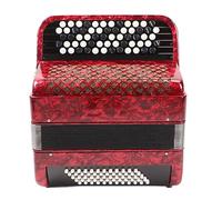 Sorandy Fisarmonica a 62 Tasti, Strumento Musicale Educativo a 60 Tasti per Bassi con Cinghie e Zaino per Principianti e Professionisti per Esercitazioni Domestiche e Performance Sul