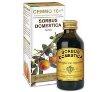 giorgini Sorbo analco gemmo 10+ 100 ml