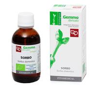 Sorbo macerato glicerico 50 ml bio