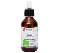SORBO MG 100ML BIO
