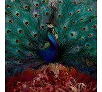 Opeth - Sorceress