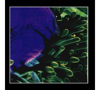 Sordid Humor - Light Music for Dying People