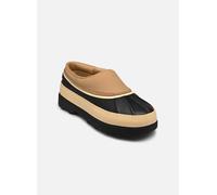 Sorel - AMBLER WATERPROOF Marrone - 36 Marrone