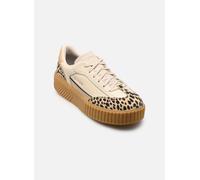 Sorel - ONA AVE T-TOE Beige - Sneakers 42 Beige