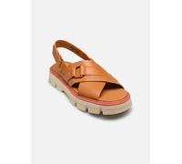 Sorel - REIN CB CRISSCROSS SANDAL Marrone - Sandali e scarpe aperte 37 Marrone