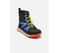 Sorel - YOUTH WHITNEY™ II PLUS LACE WP Grigio - Stivali 39 Grigio
