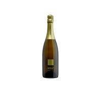 Sorelle Bronca Valdobbiadene Prosecco Superiore Brut N/V