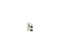 Soria Fico S Xxi 50ml - Estratto