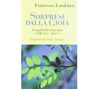 Sorpresi dalla gioia. I vangeli delle domeniche e delle feste. Anno C