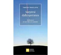 Sorpresi dalla speranza. Meditazioni su una Chiesa in cammino