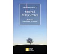 Sorpresi dalla speranza. Meditazioni su una Chiesa in cammino