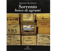 Sorrento bosco di agrumi. Il secolo d'oro dell'agrumicultura sorrentina (1850-1950)
