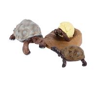 Sosoport 1Set Figurine Educativo Del Ciclo per Cognitivo per Apprendimento e Decorazione Didattica per Prescolare