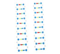 Sosoport 2 Pezzi Di Struttura a Doppia a Doppia Chimica Giocattoli Kit Di Modelli Molecolari Di Chimica Dna Giocattoli Per Parti Di Dna Modelli Plastica