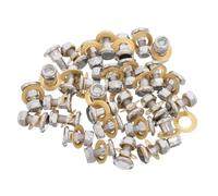 Sosoport 30 Set Set di Viti a Testa Tonda e Dadi per Cesoie da Potatura, Accessori in Metallo Argento Bloccaggio Sicuro e Montaggio di Precisione per Giardinaggio All'aperto