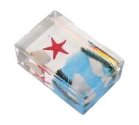 Sosoport Marino a Forma di Stella per Collezioni Educative | Resistente allo Sbiadimento, Antipolvere e Indeformabile, Ambienti Domestici e Musei, Schede Bilingui Incluse