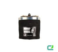 Sospensione A Bolla Sinistra Posteriore Sospensione BILSTEIN Per BMW 5 Touring