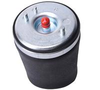 Sospensione A Gas Sacco Pneumatico Per BMW E39 37121094614 Posteriore Destro