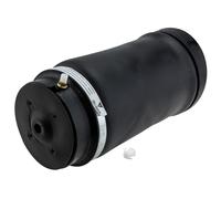 Sospensione A Molla AIR L R Posteriore Per Mercedes KLASA R W251 2005-
