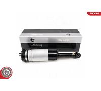 Sospensione ad aria anteriore LAND ROVER Discovery III IV Range rover sport I